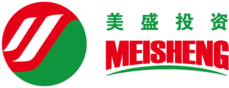 美盛投资发展（深圳）有限公司